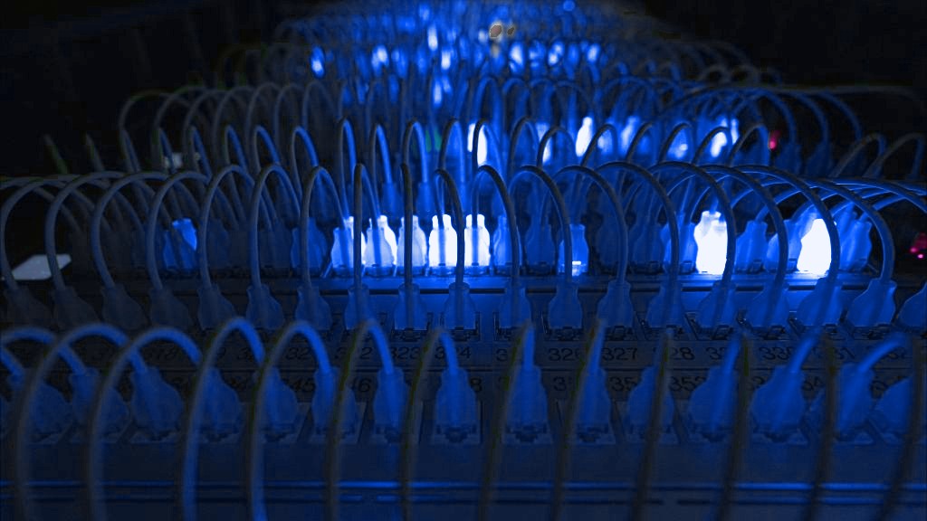 A patch panel lit blue, every port live after cutover