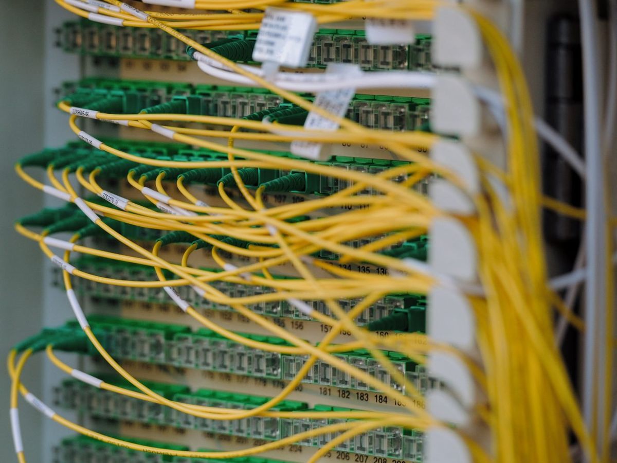 Single-mode fiber patch cords plugged into a fiber distribution panel