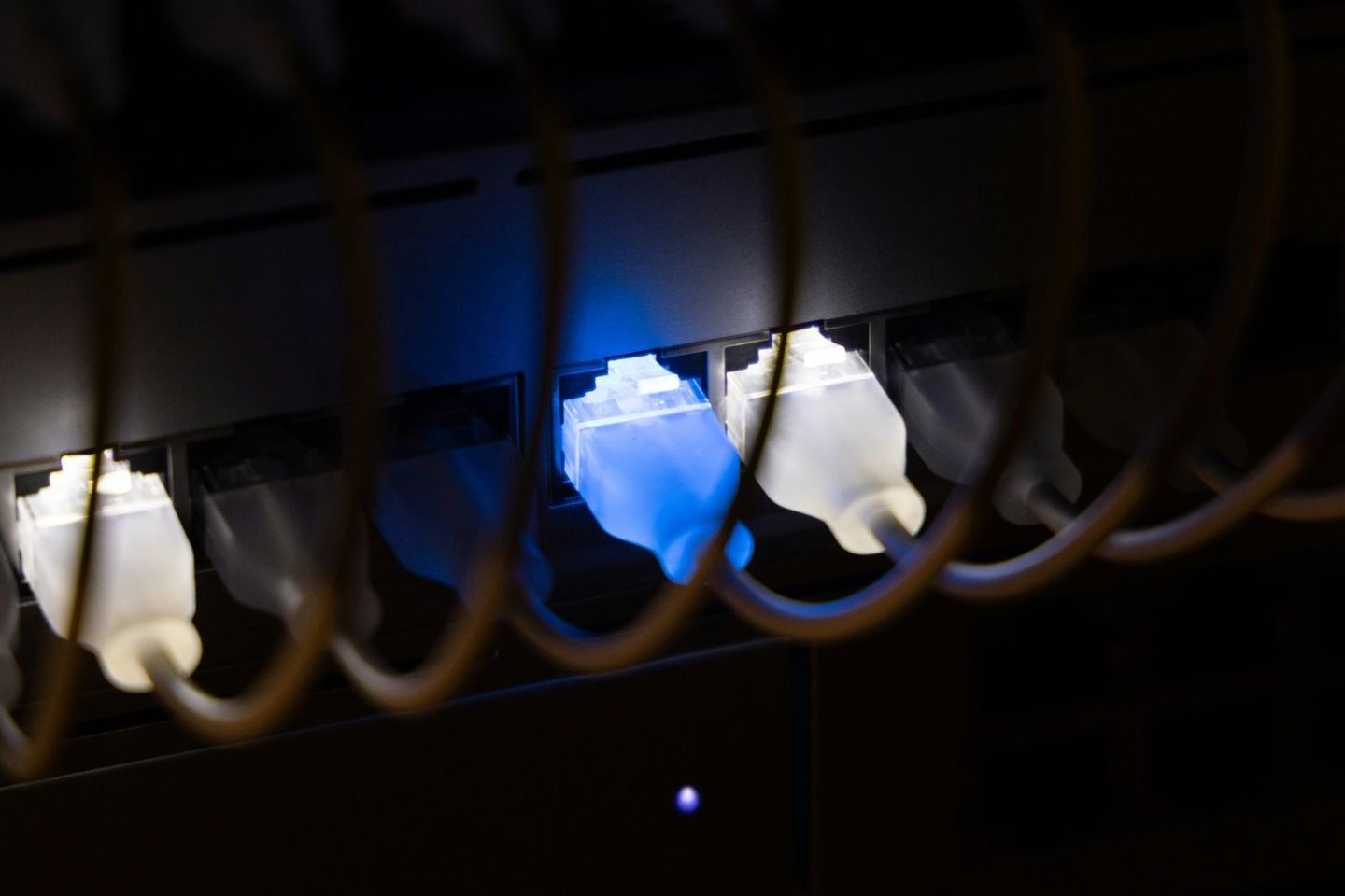 Clear RJ45 plugs seated in a row of switch ports in the dark, one lit blue by its link light